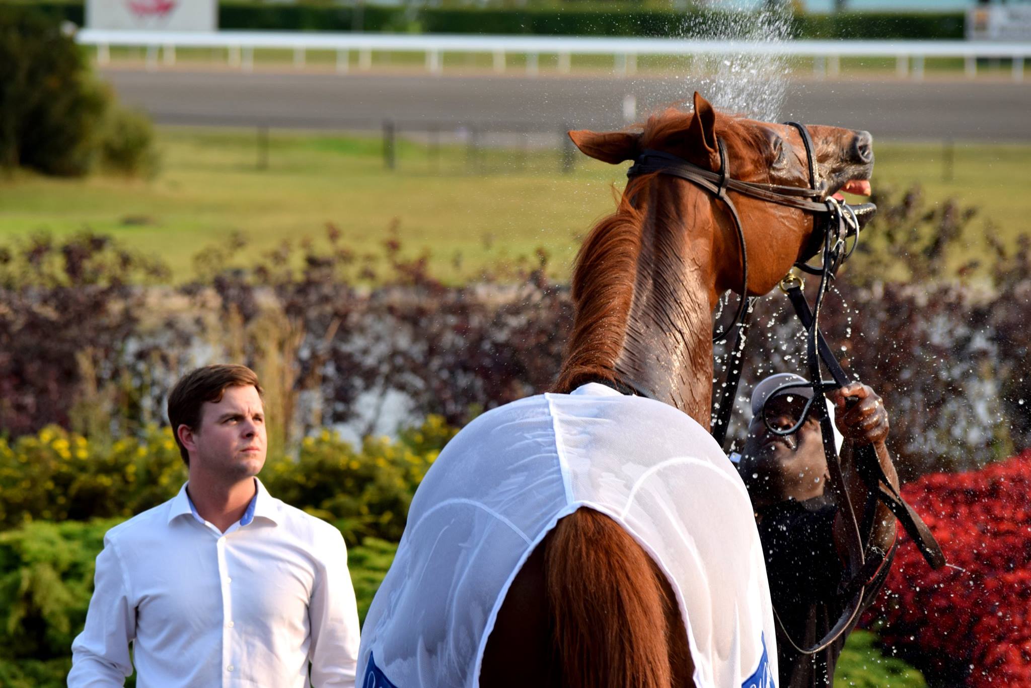 The Horse Racing Photos 12 Days of Christmas: The 5th Day