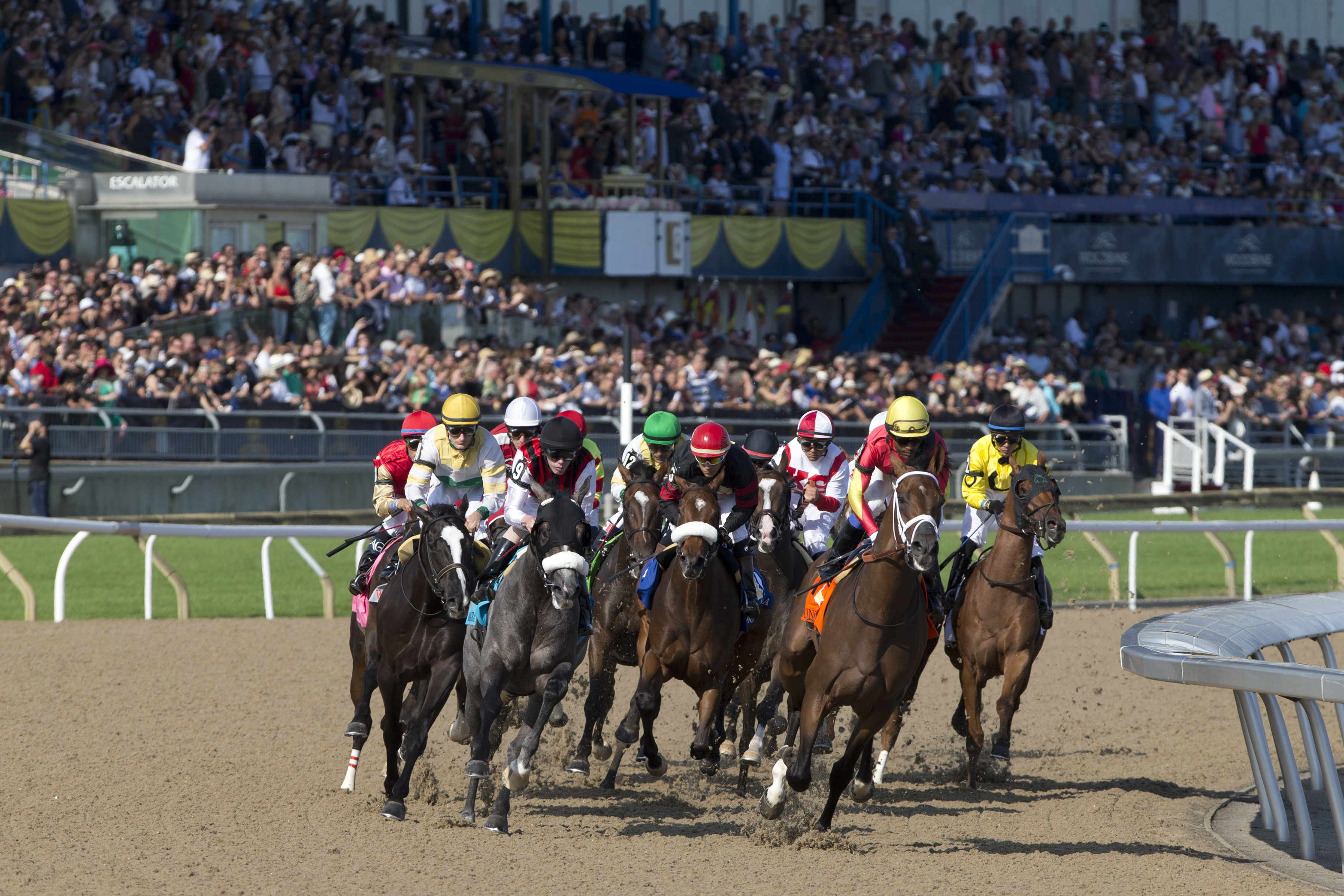 Woodbine announces 2018 Thoroughbred stakes schedule; Woodbine and HBPA form Health and Welfare Committee