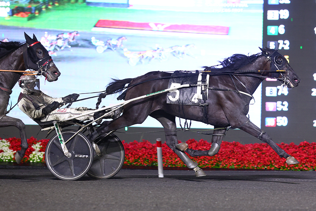 Wendell Blue Chip strikes late to win freshman colt trot Grassroots Final