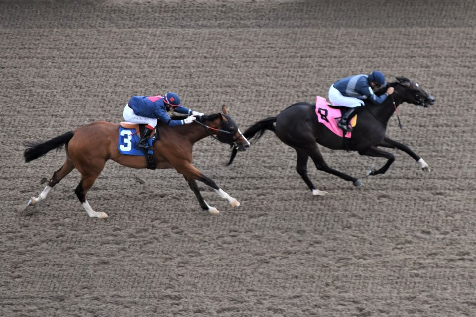 Jennifer Morrison’s Woodbine Thoroughbred Selections: Saturday, August 29, 2020