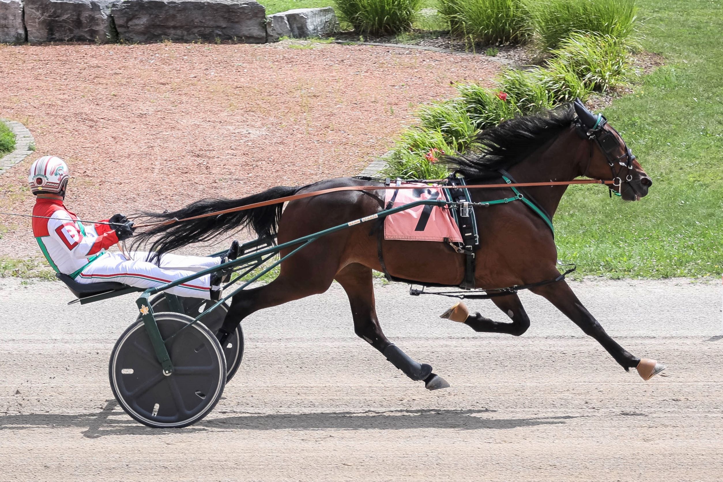 Baillargeon steers two Grassroots winners in Hanover