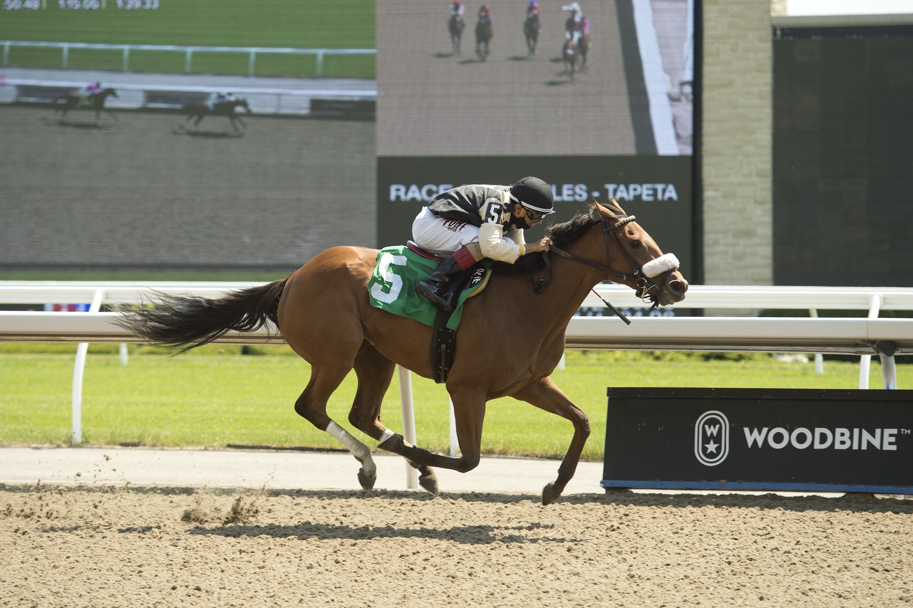 Woodbine Winter Report: March 31, 2021