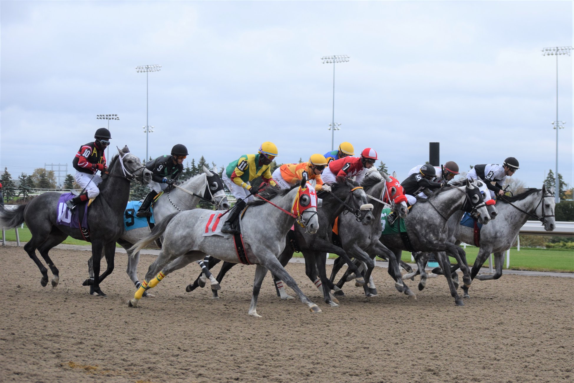 Woodbine Thoroughbred Meet Generates Second Largest All-Sources Handle In Its History  