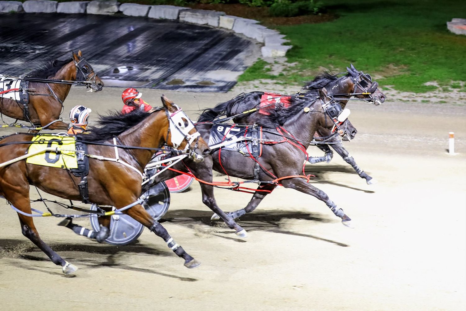Garnet Barnsdale’s The Raceway at the Western Fair District Selections: Friday, November 5, 2021