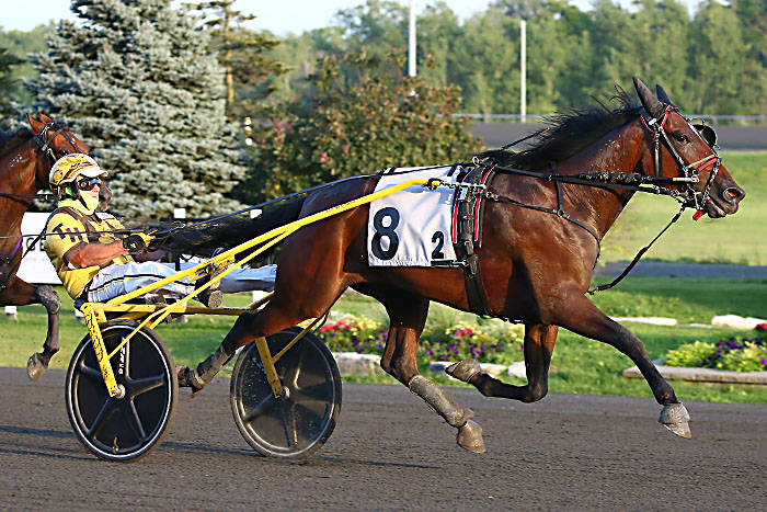Fresh faces shake up the Grassroots standings