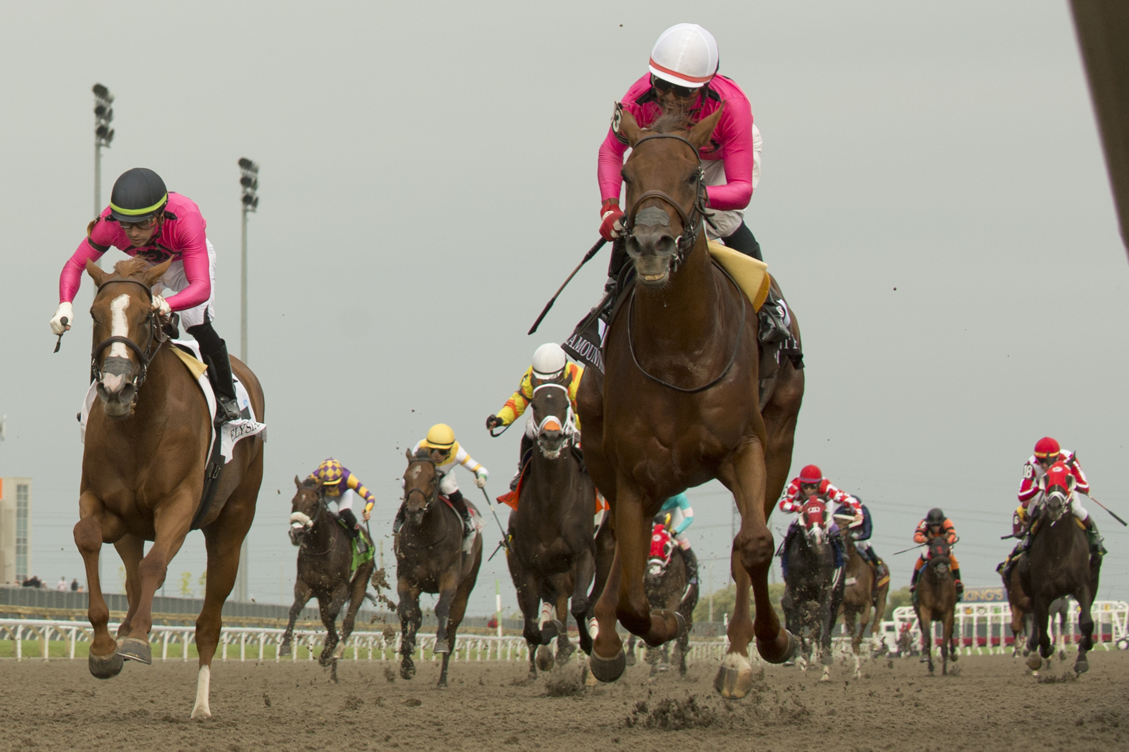 Paramount Prince and jockey Patrick Husbands winning The 164th King's Plate at Woodbine (Michael Burns Photo)