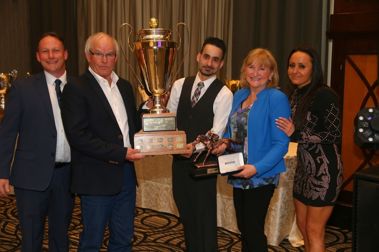 Horse of the Year No. 3 for Country Boy 123 