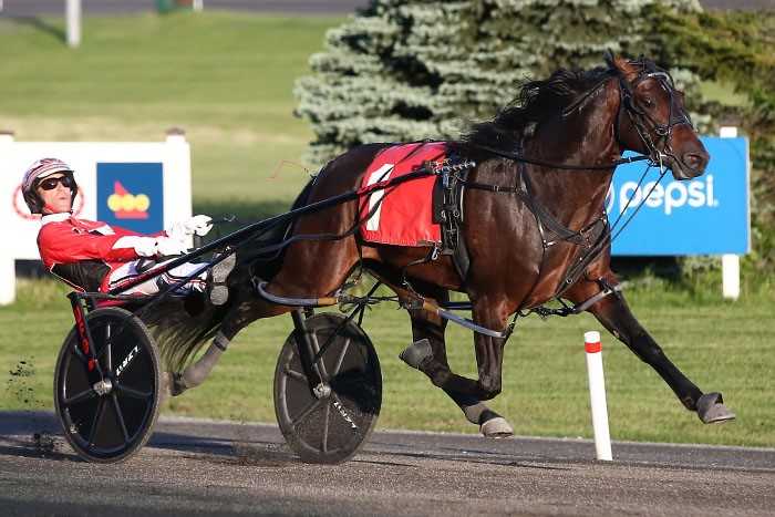 Bettors Wish & Workin Ona Mystery take Pepsi North America Cup eliminations
