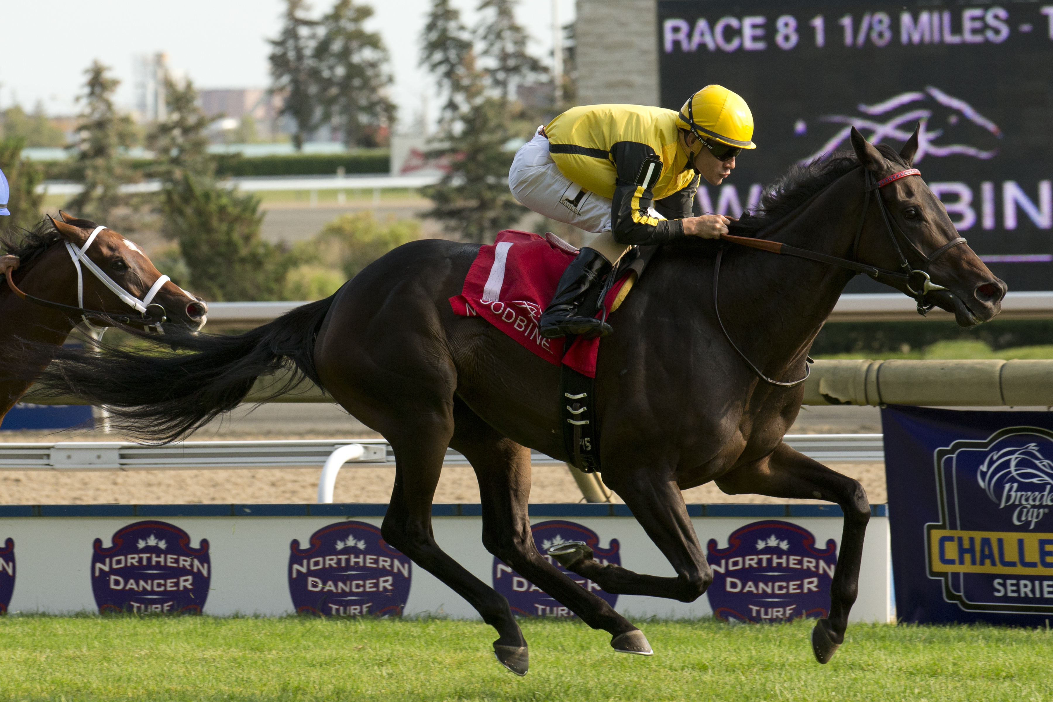 Woodbine Entertainment and the Japan Racing Association partner on race exchange