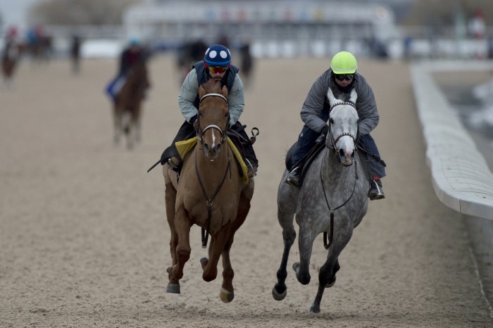  Woodbine Racetrack's Thoroughbred season starts Saturday