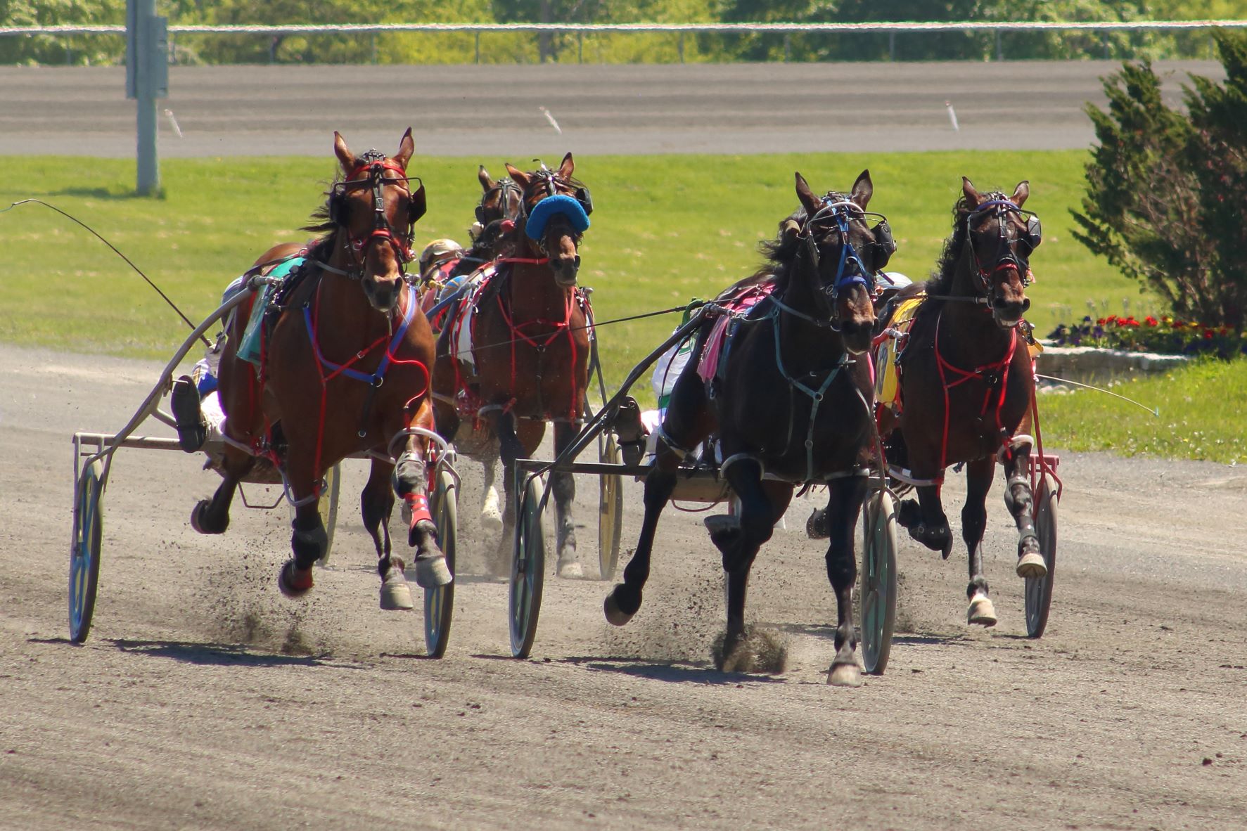 Melissa Keith’s Rideau Carleton Raceway Selections: Sunday, December 19, 2021