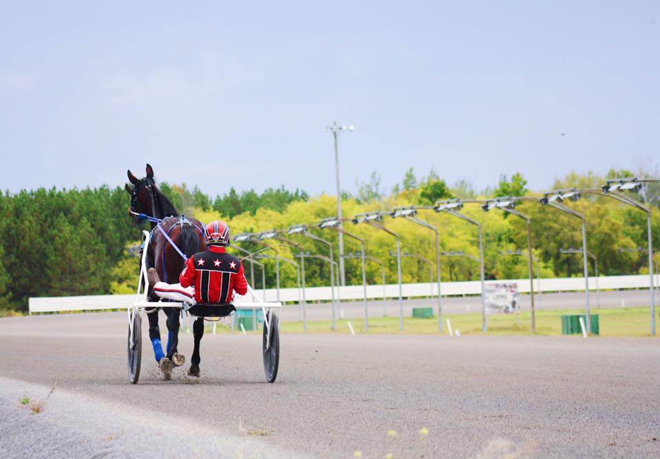 Melissa Keith’s Rideau Carleton Selections: Sunday, March 28, 2021