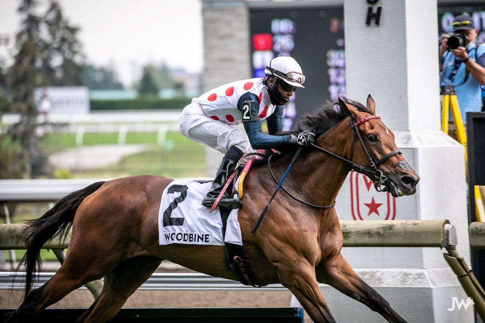 woodbine thoroughbred results today