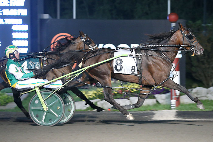 Bulldog Hanover scores another impressive Gold win