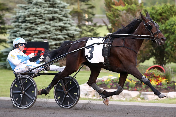 First-time Grassroots starters storm to victory in Campbellville