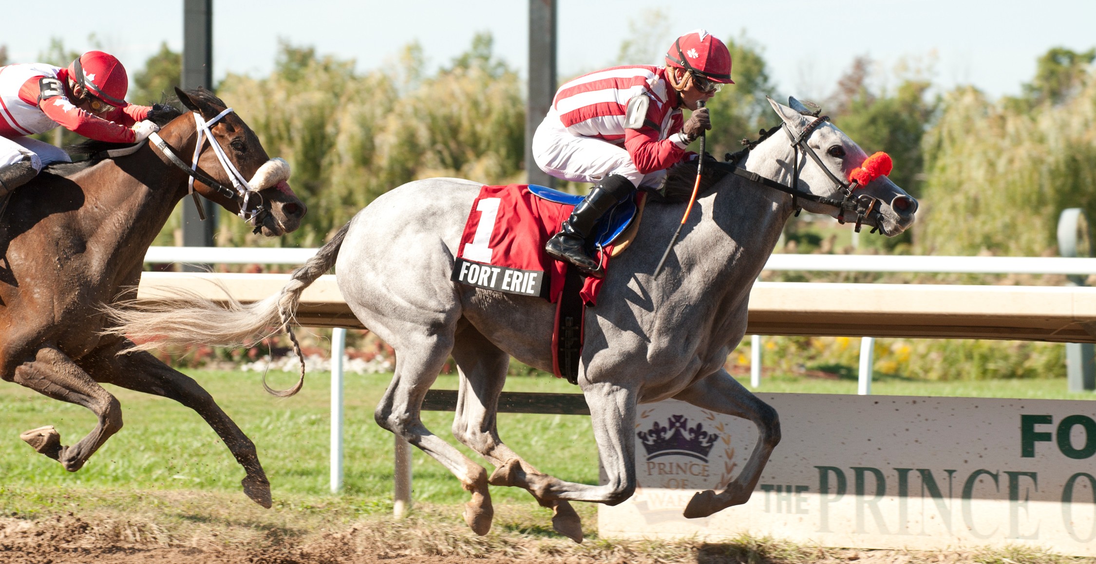 Frac Amour winning the Rondeau Bay Stakes at Fort Erie Race Track on Sept. 10, 2024 (Michael Burns Photography)