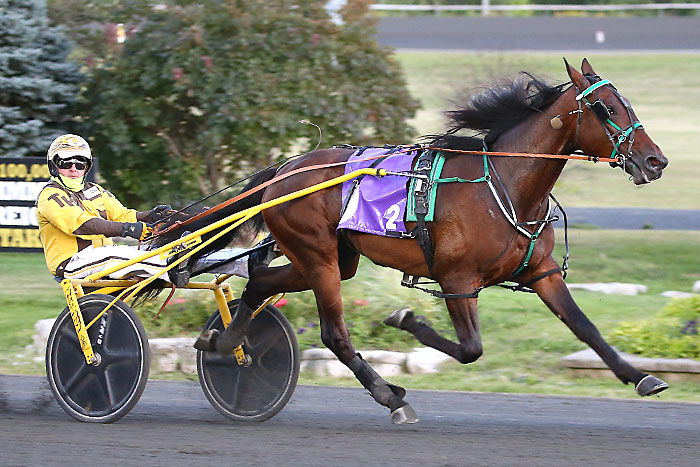 Late bloomers score Grassroots wins at Woodbine Mohawk Park