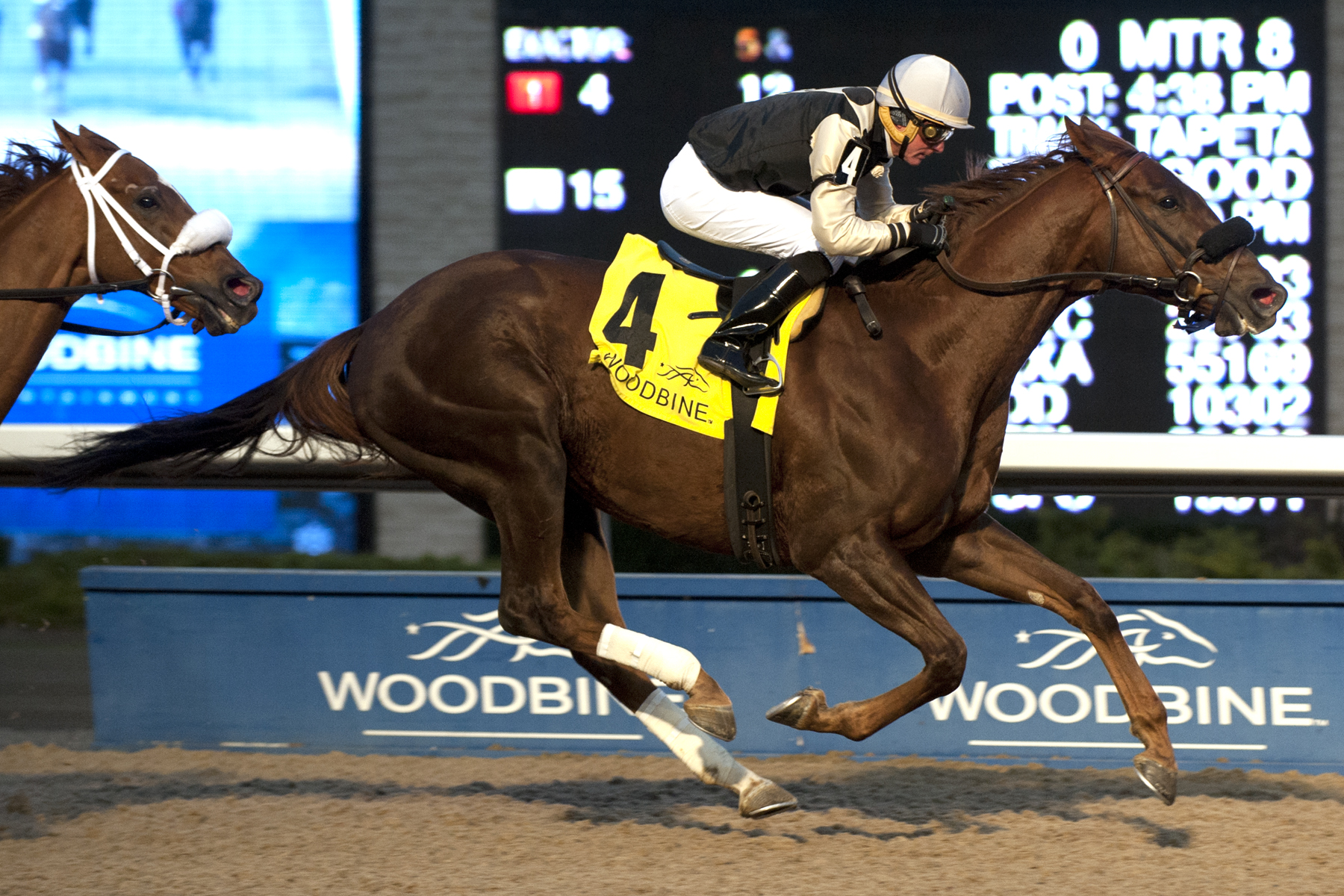 Gigantic Breeze defeats Melmich in Autumn Stakes