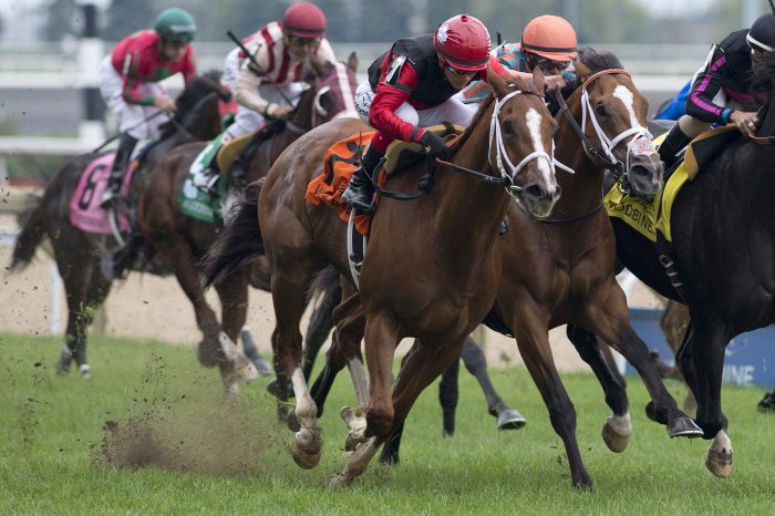 Two friends, 12 horses, one ‘Cat’ and a Breeders’ Cup dream