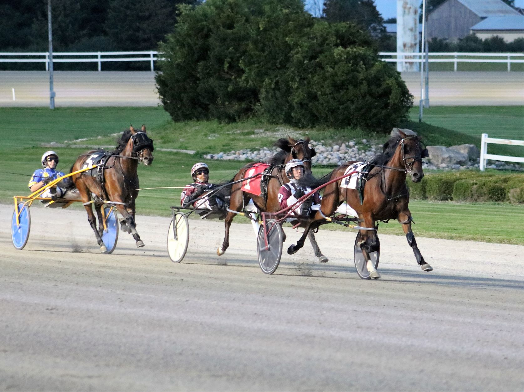 Garnet Barnsdale’s Flamboro Downs Selections: Sunday, December 12, 2021