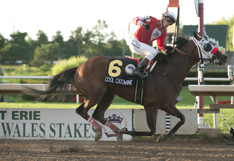 Cool Catomine upsets 82nd Prince of Wales