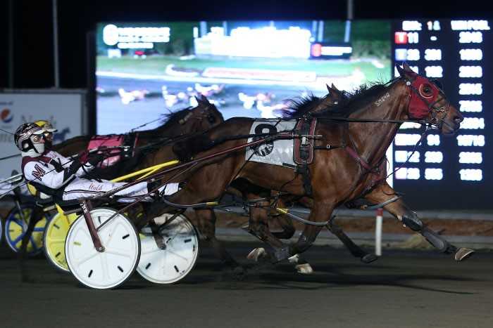 Humboldt “The Horse” wins for #HumboldtStrong