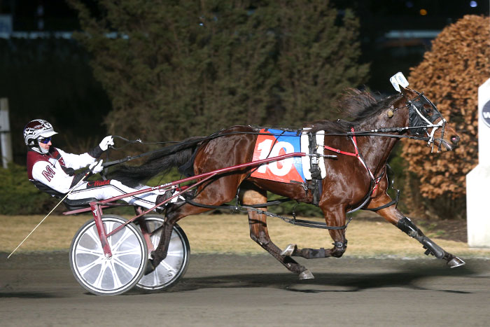 Much Adoo is something in Ontario Girls final