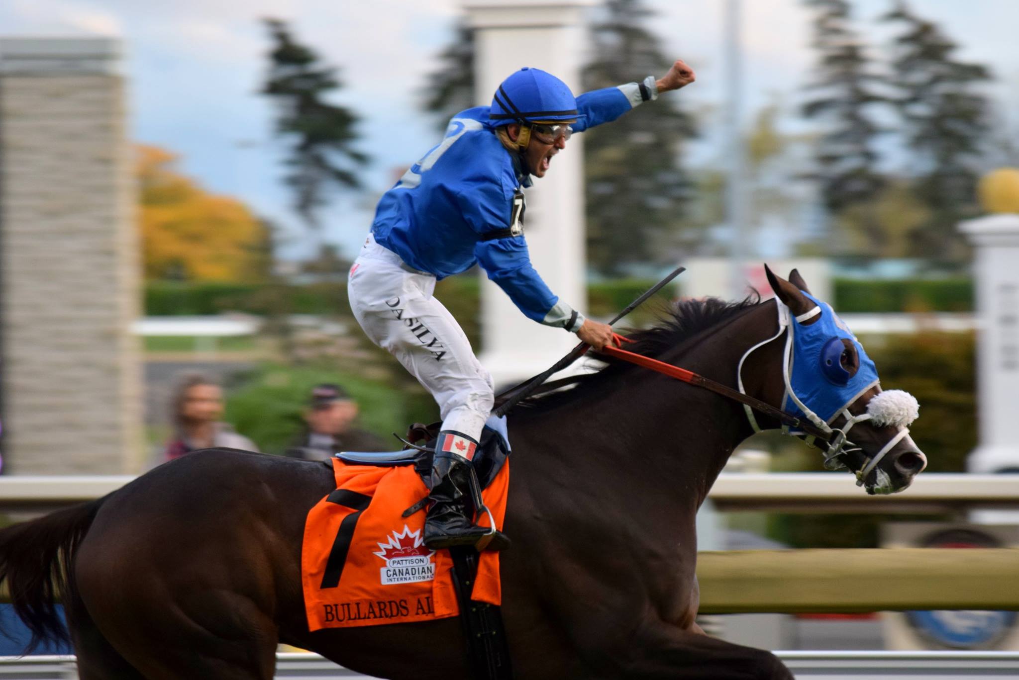 The Horse Racing Photos 12 Days of Christmas: The 3rd Day 