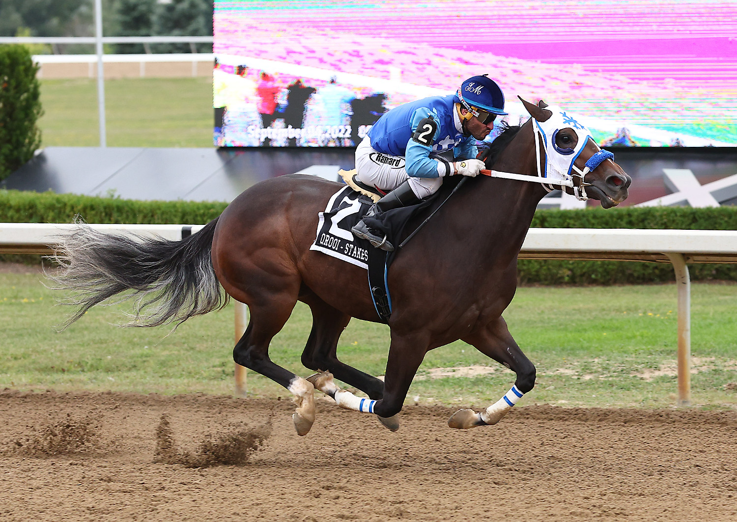 Eye Live for Candy Crushes Boys in Picov Derby