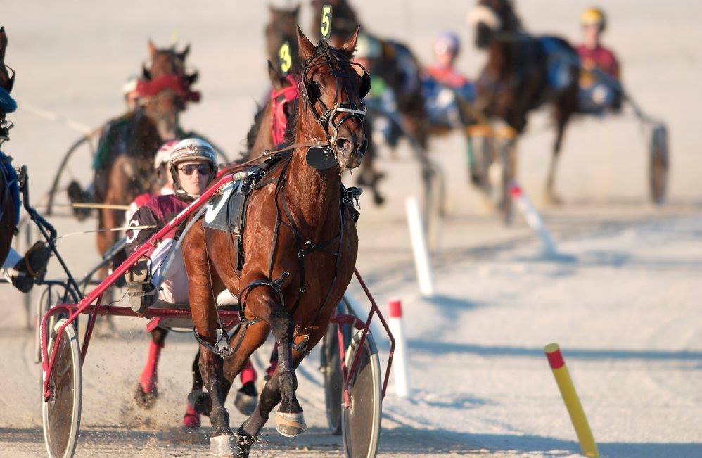 Mike Bozich’s Georgian Downs Selections: Tuesday, August 27, 2019