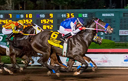 Ajax Downs 'Boy' finishes close 4th in California