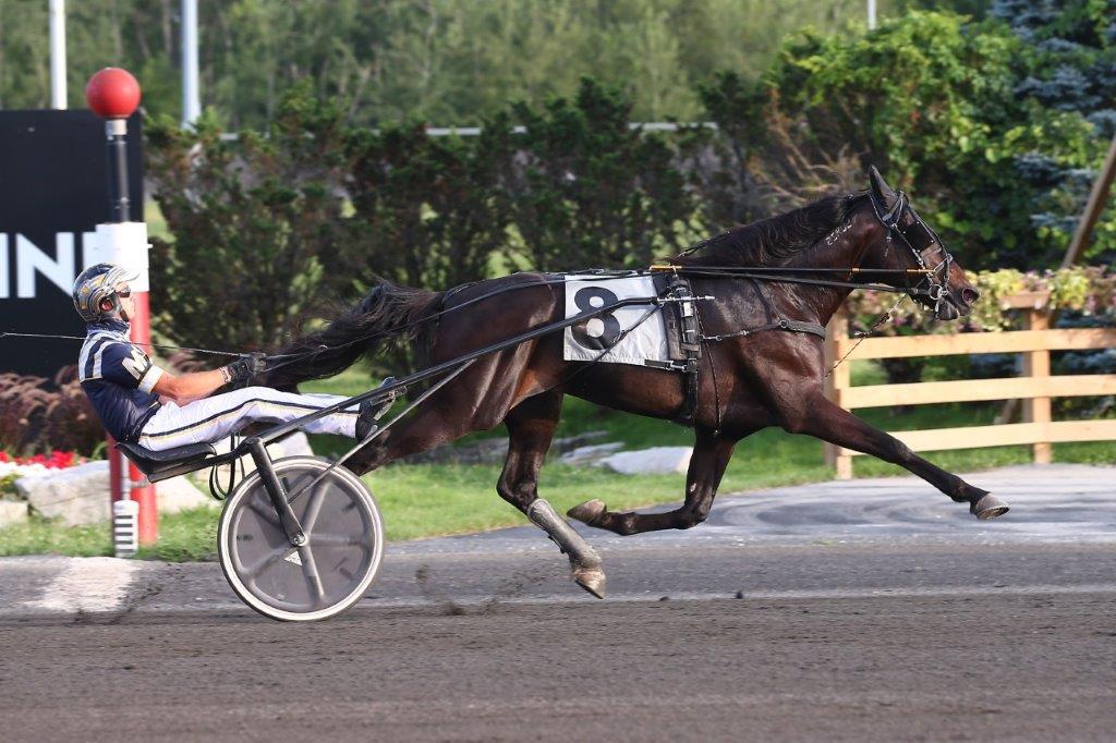 Macho Martini and Tokyo Seelster repeat in Gold Series