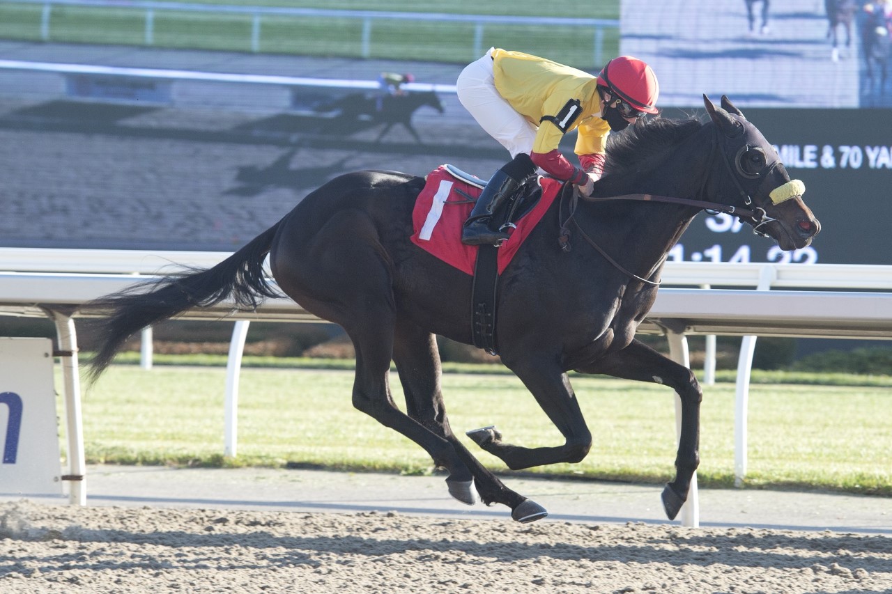 Woodbine Report: April 14, 2021