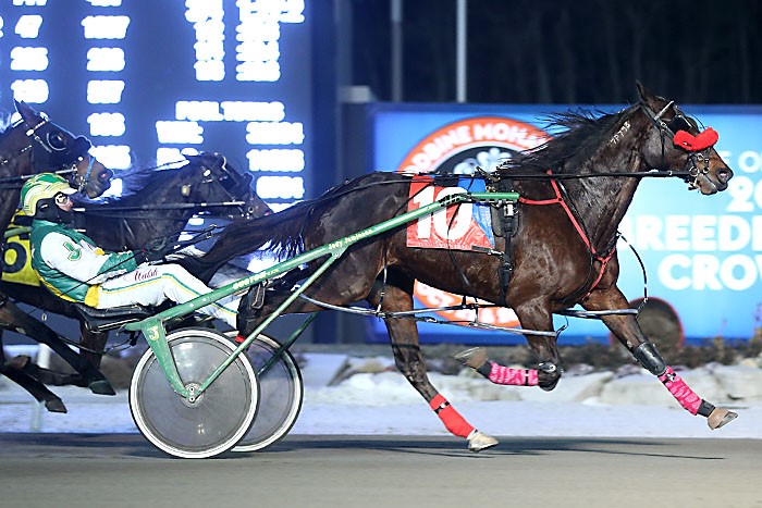 Bettor B Going sets record in Snowshoe