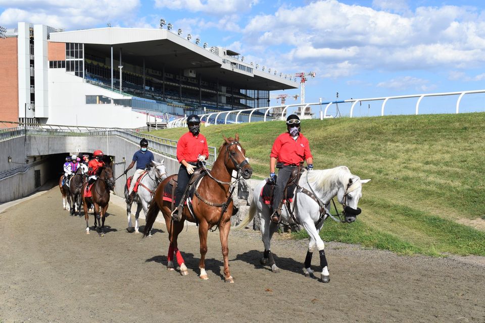 Jennifer Morrison’s Woodbine Thoroughbred Selections: Friday, September 11, 2020