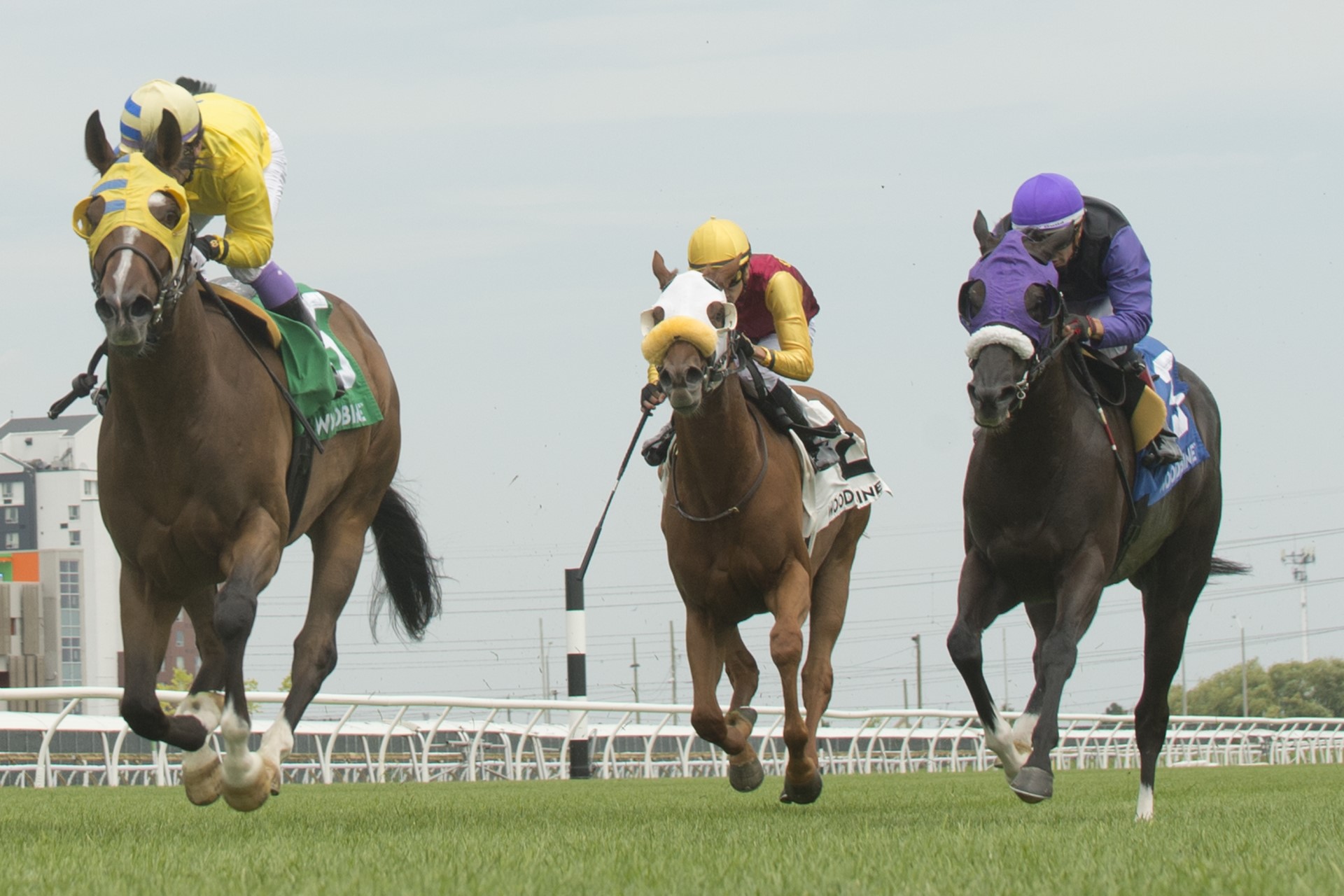 Patches O’Houlihan and jockey Daisuke Fukumoto winning the Lake Huron Stakes on July 8, 2023 at Woodbine (Michael Burns Photo)