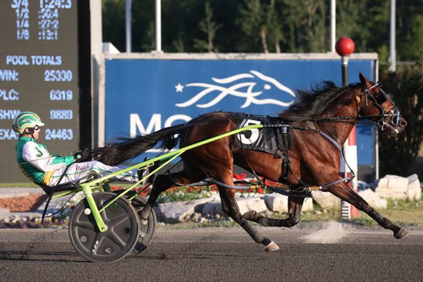 Calvin K and Sports Column triumph in OSS debuts