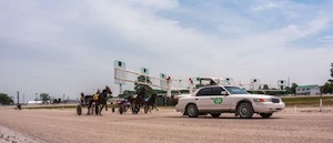 OSS Trotting Fillies in Dresden on Friday