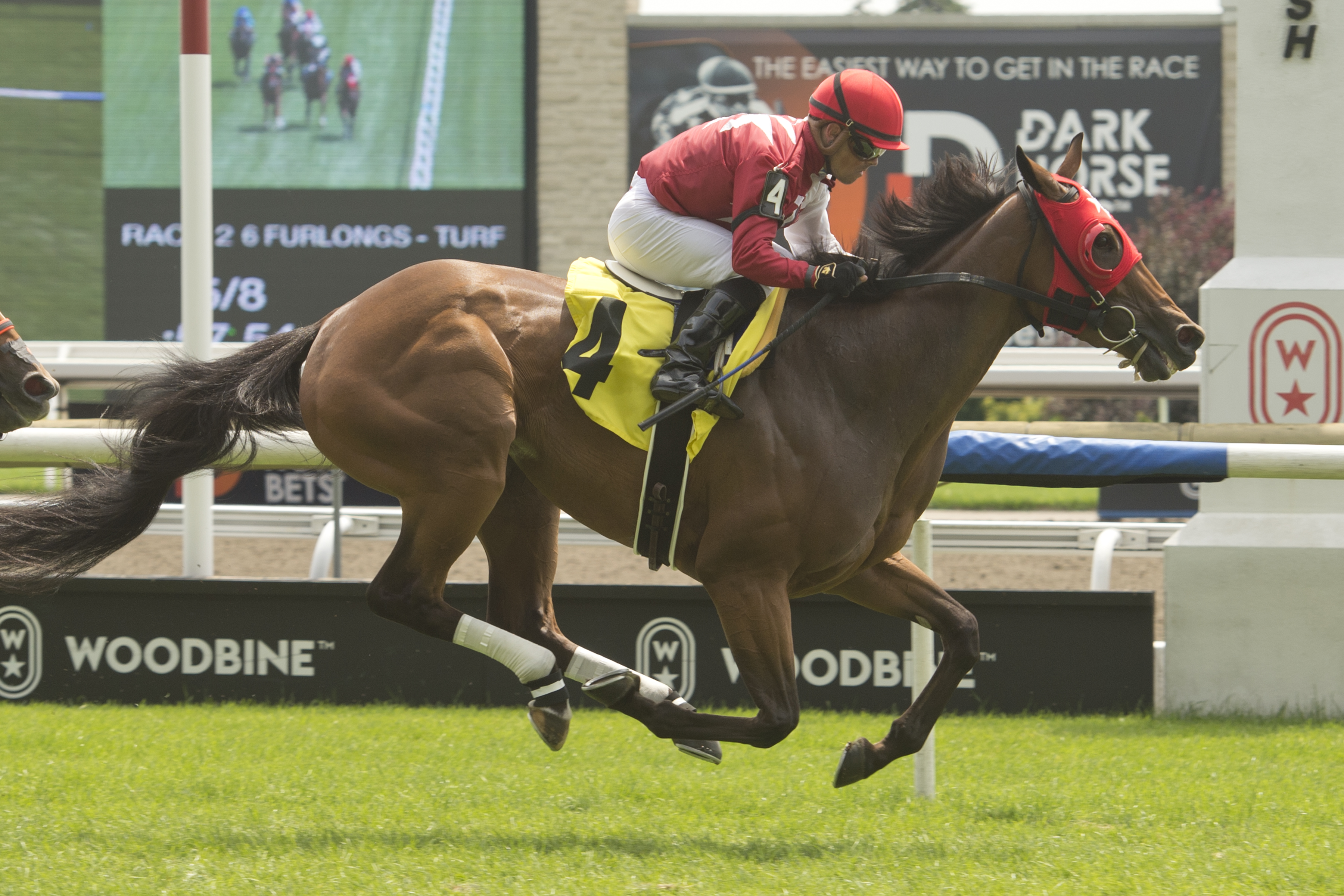 Four Yearling Sales Stakes Set for Sunday at Woodbine