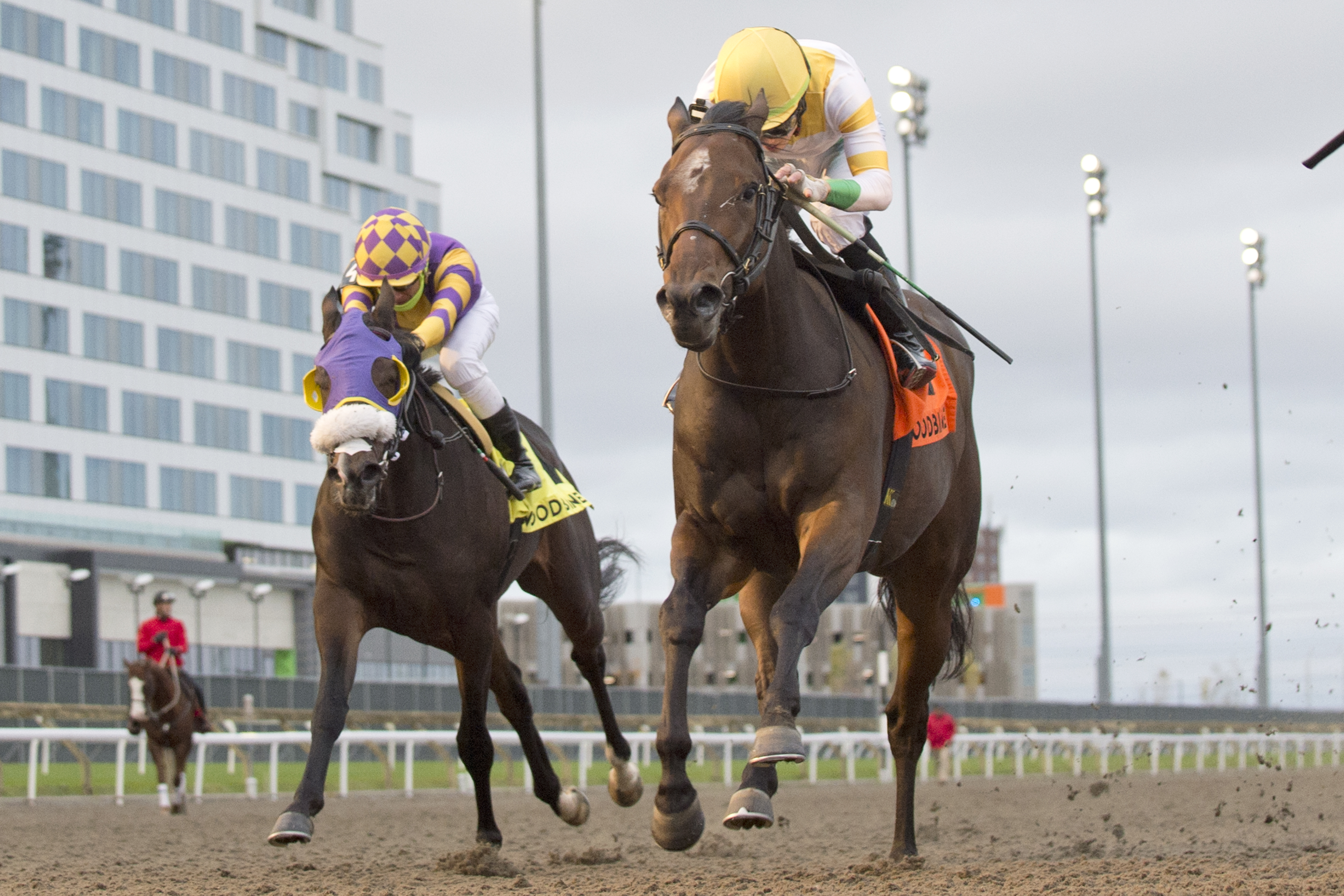 Touch'n Ride and jockey Kazushi Kimura winning the Ontario Derby on October 21, 2023 at Woodbine (Michael Burns Photo).