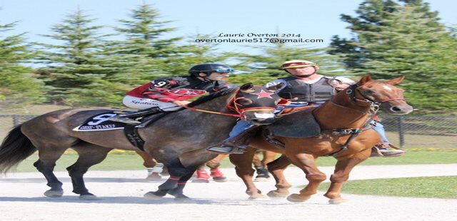 Friday's For the Love of Racing - Don Reid & Cannington