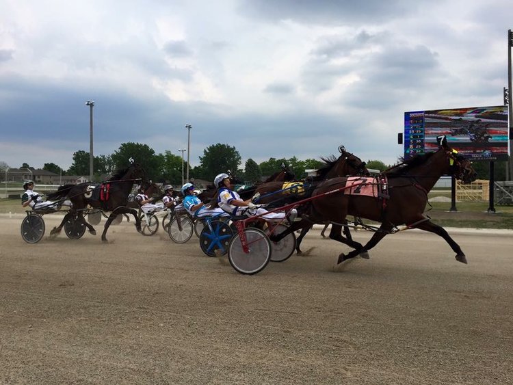 Harness the Hope - Ladies Day