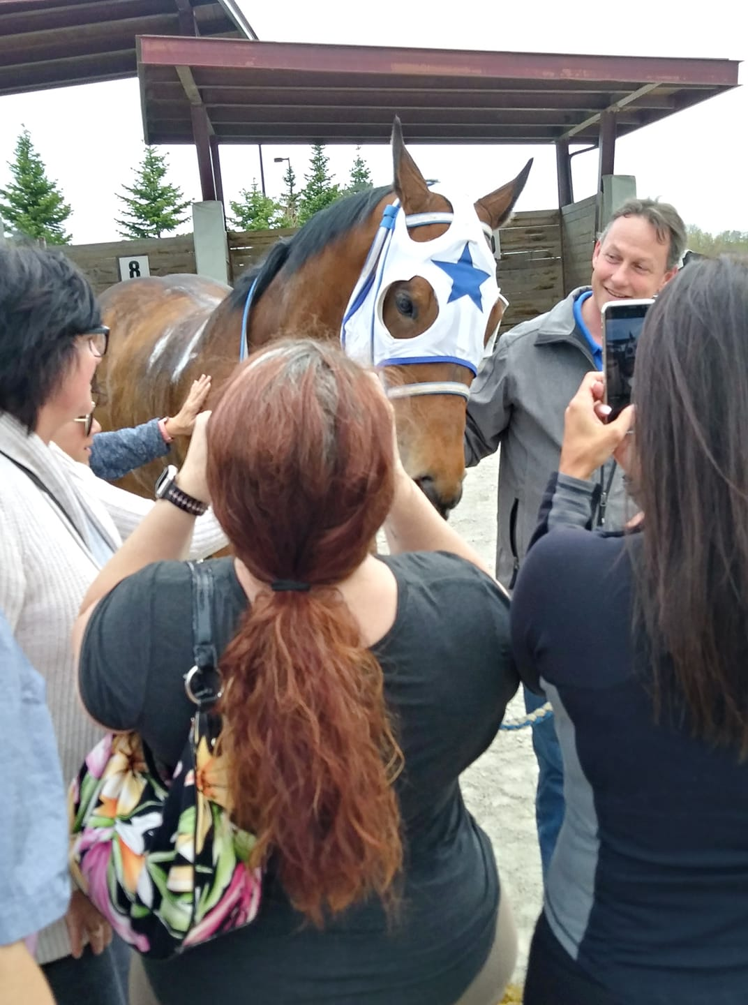 First time horse owners win again with the 'Eagle'