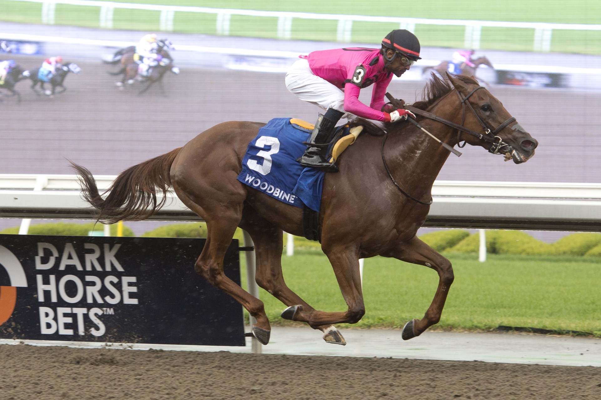 Paramount Prince Leaves Rivals Reeling in Plate Trial