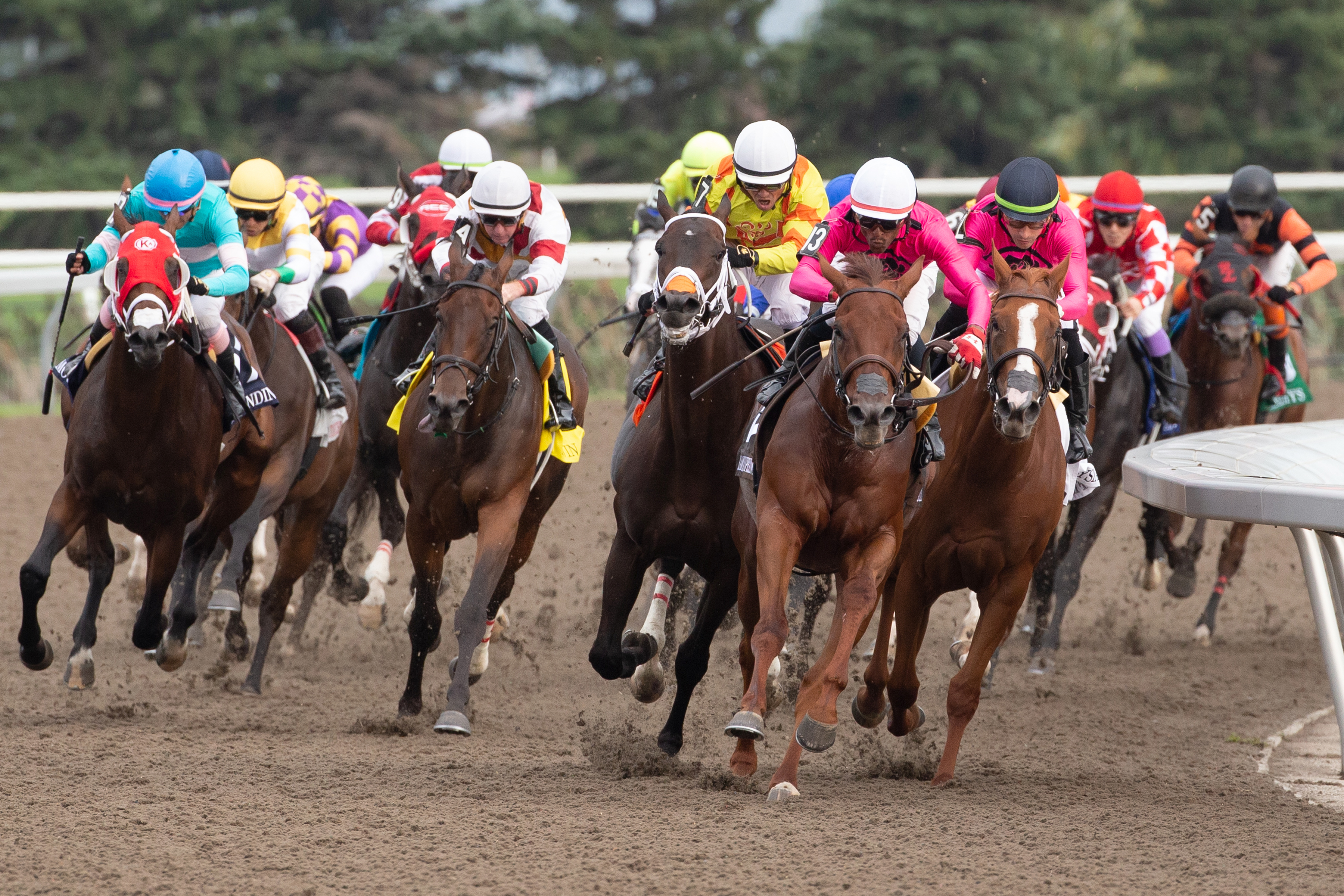 Paramount Prince and jockey Patrick Husbands winning The 164th King's Plate at Woodbine (Michael Burns Photo)