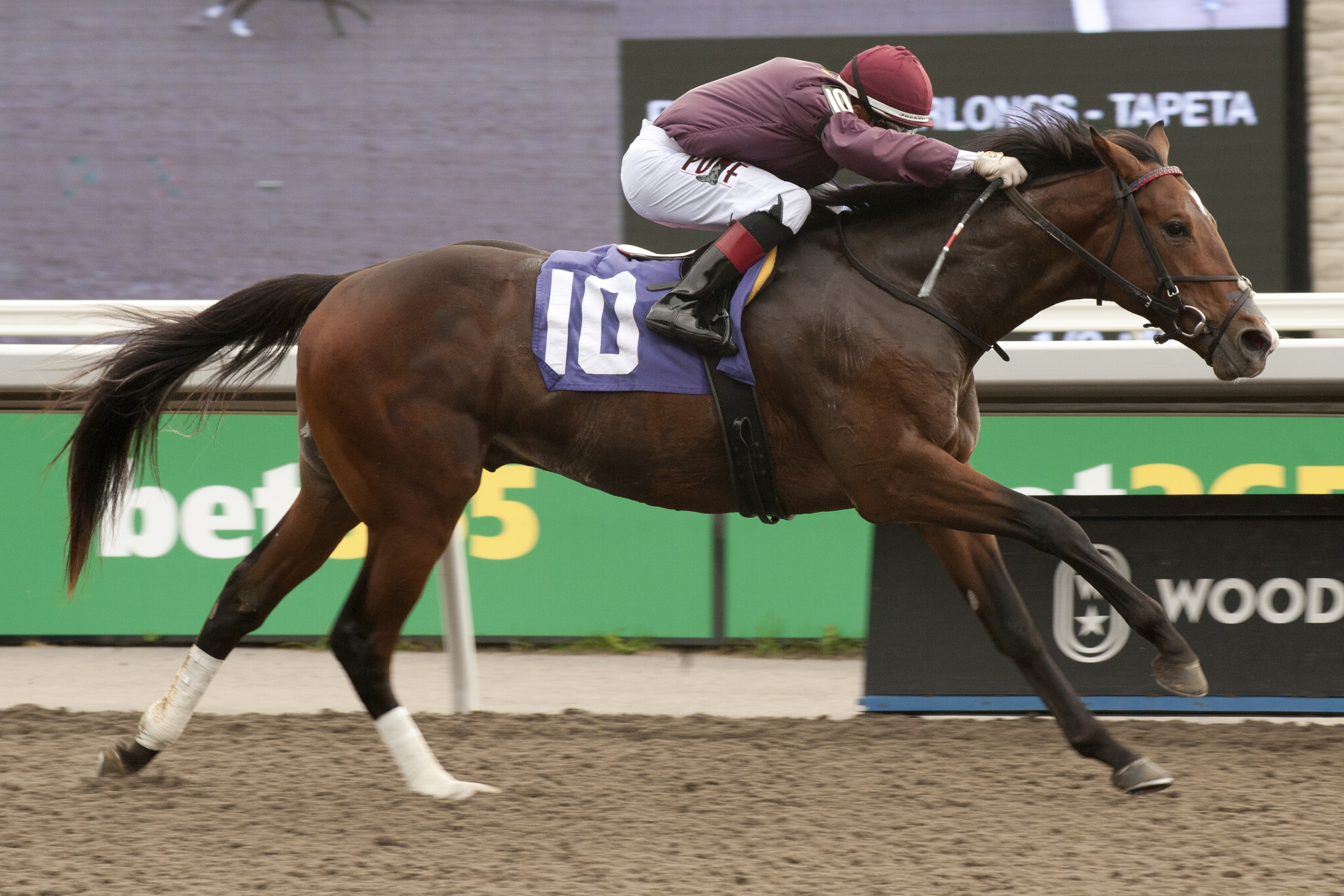 Ontario-Bred Rookie Naptown In Spotlight In Saturday’s Coronation Futurity