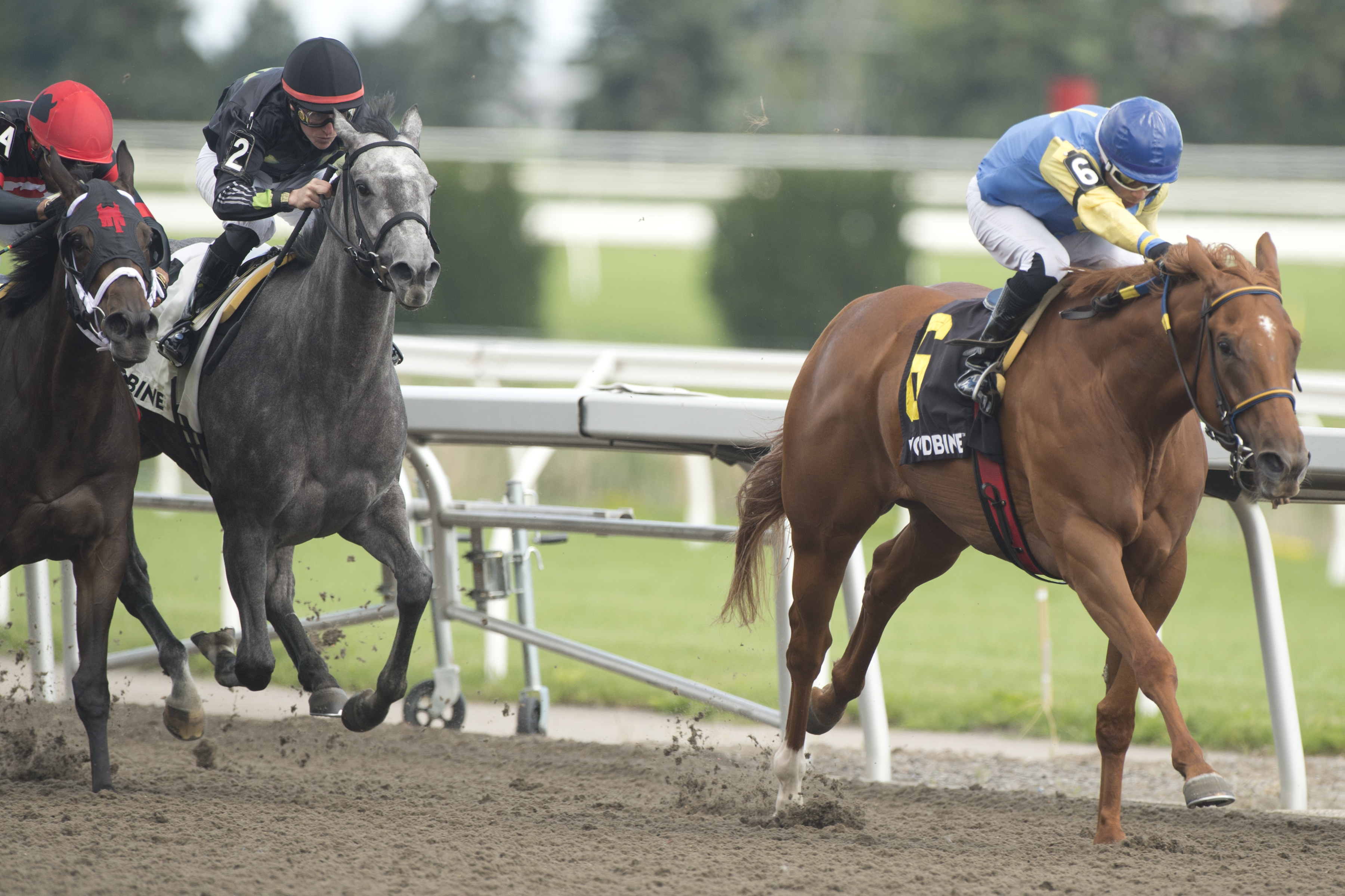 Foolish Games and jockey Omar Moreno winning the Thunder Bay Stakes on July 30, 2023 at Woodbine (Michael Burns Photo).