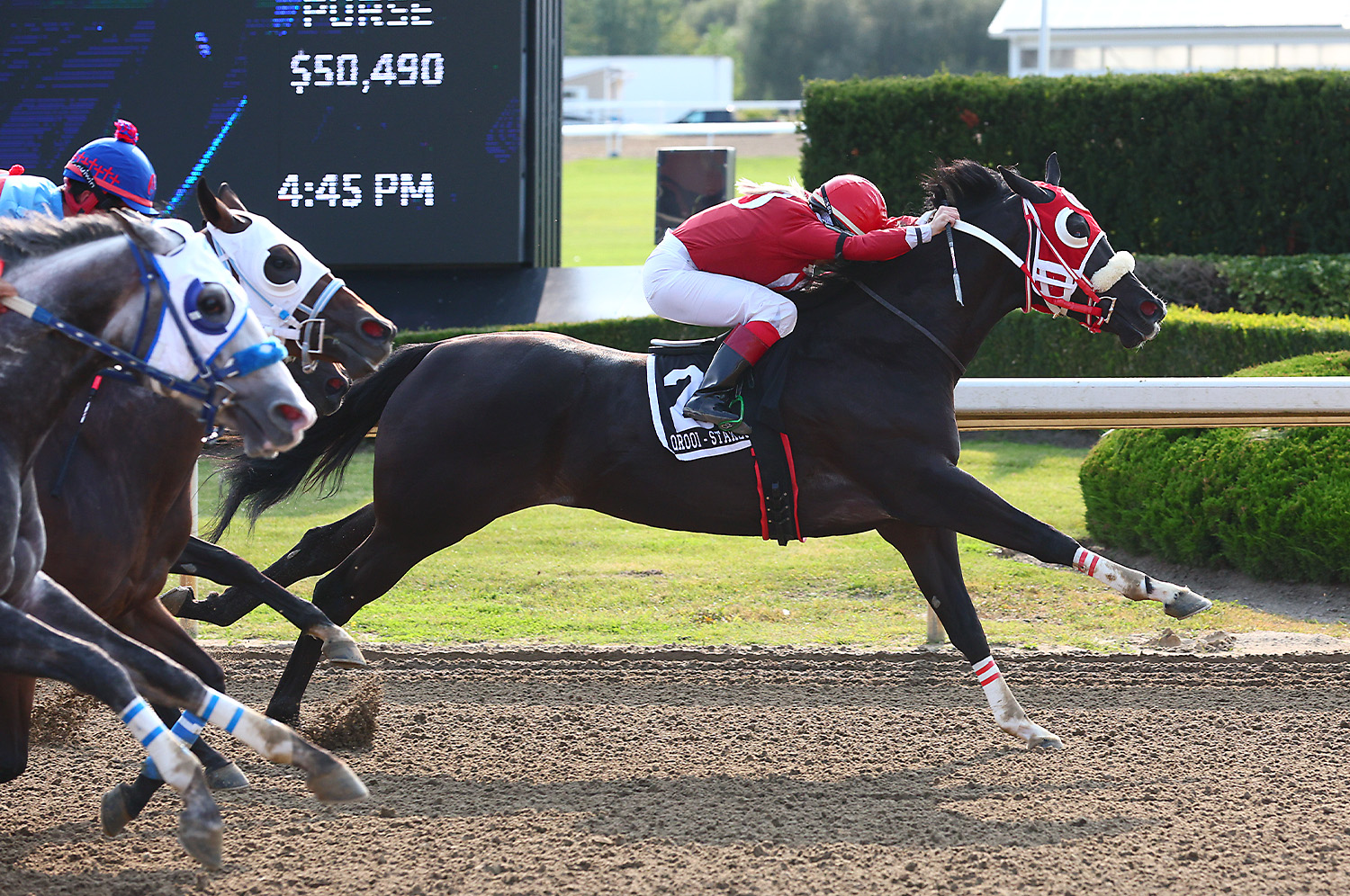 Filly Says Bye Bye to Boys in Norman Picov Derby