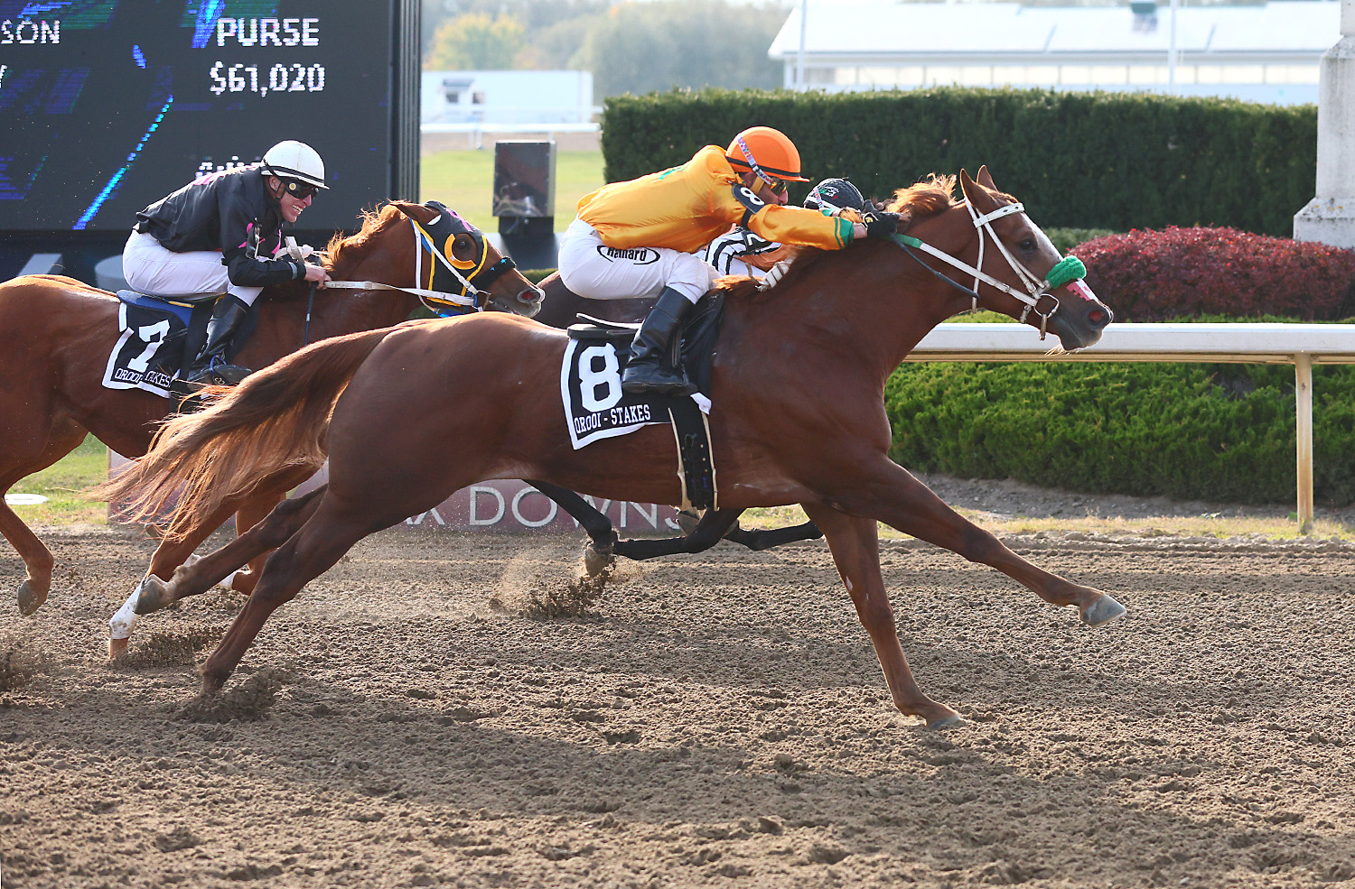 Dreams Come True; Adreamtobuildakisson Wins OSS Derby for Angelle Carter