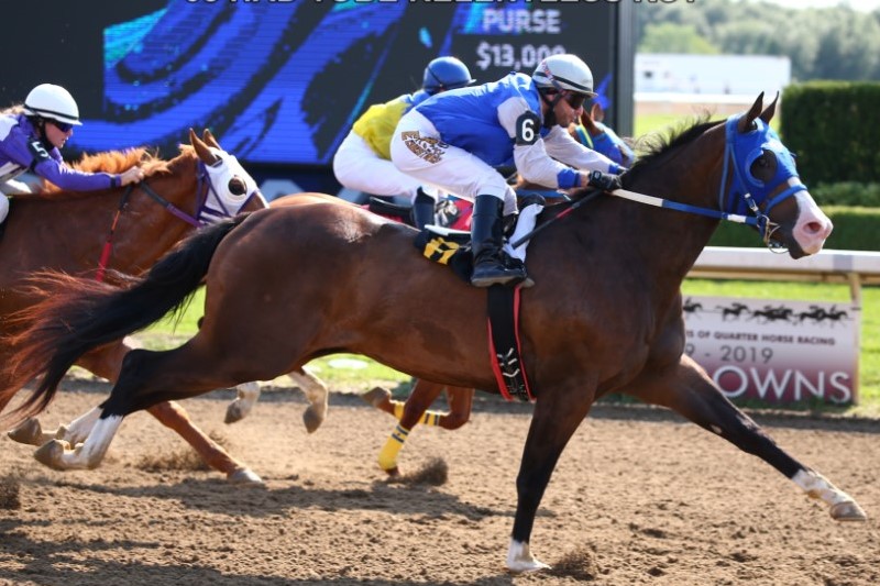 Nineteen Starters Compete in Two Trials for $50,000 Ontario Bred Derby